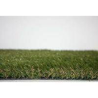 Grastapijt Roma 20m² - thumbnail