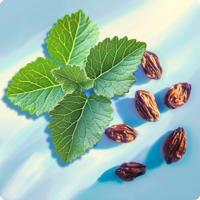 Elie Saab Girl Of Now Eau de parfum Spray 30 ml Dames - thumbnail