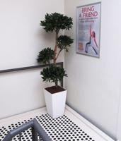 Laurier deluxe x4 kunstboom 170cm - thumbnail