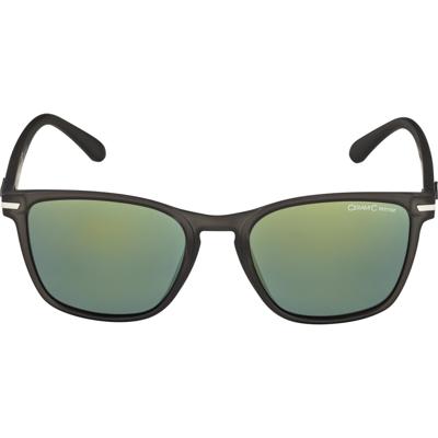Alpina yefe - sunglasses