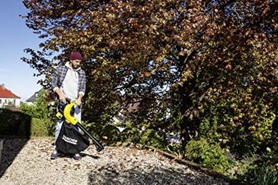 Kärcher Home & Garden Kaercher Bladzuiger, Bladblazer Accu 36 V