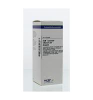 Taraxacum officinale D1 - thumbnail