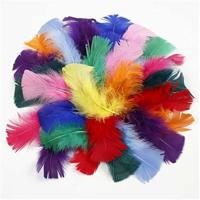 Creativ Company Https://www.cchobby.nl/dons-afm-7-8-cm-ca-400-stuk-diverse-kleuren-50-gr-1-doos - thumbnail