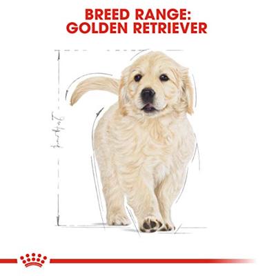 Royal Canin Puppy Golden Retriever hondenvoer 12 kg - thumbnail
