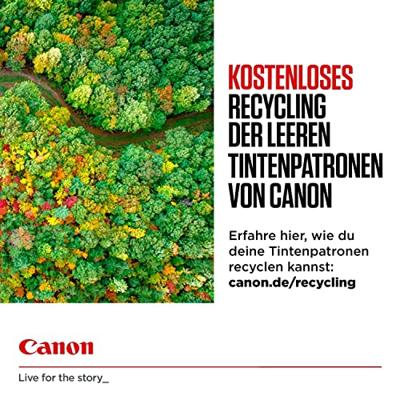 Canon Inktcartridge CLI-581 PBXL Origineel Blauw 2053 C 001
