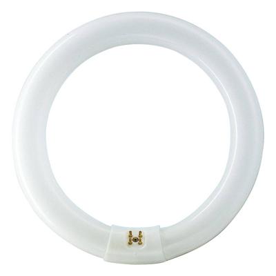 Philips Ronde TL 32W/840 TLE Coolwhite Philips 5900612