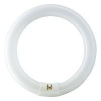 Philips Ronde TL 32W/840 TLE Coolwhite Philips 5900612 - thumbnail
