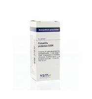 Pulsatilla pratensis D200 - thumbnail