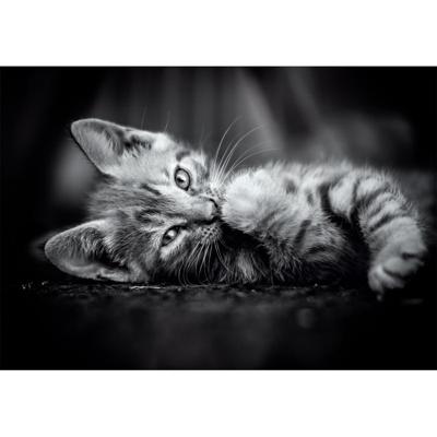 Clementoni puzzel 1000pcs kitty