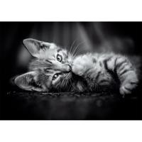 Clementoni puzzel 1000pcs kitty - thumbnail