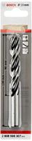 Bosch Accessories 2608596307 Hout-spiraalboor 10 mm Gezamenlijke lengte 120 mm Cilinderschacht 1 stuk(s) - thumbnail