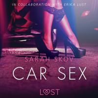 Car Sex - Sexy erotica - thumbnail