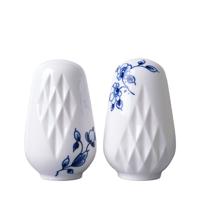 HEINEN - Blauw Vouw - Peper- en zoutstel - thumbnail