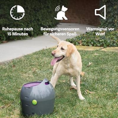 PETSAFE FILTER VOOR AVALON DRINKFONTEIN 2 ST