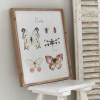 Afbeelding Etude - thumbnail