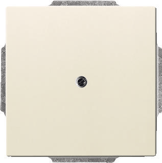 Busch-Jaeger blind centraalplaat 1742-82 ivoorwit