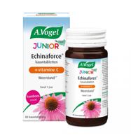 A Vogel Echinaforce junior & vitamine C 80 Kauwtabletten - thumbnail