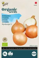 Zaden Organic Ui Rijnsburger 5 bewaarui (BIO) Buzzy - Buzzy - thumbnail