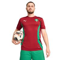 PUMA Marokko Pre-Match Trainingsshirt 2024-2026 Rood Groen - thumbnail
