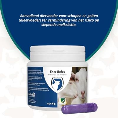 Ener Bolus Schaap & Geit