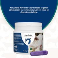 Ener Bolus Schaap & Geit - thumbnail
