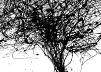 Noordwand Komar Munich Design Fotobehang Curls - V7-758 - thumbnail