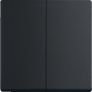 Busch-Jaeger Afdekking Serietoets Diepzwart (RAL 9005), Zwart 2CKA001751A3038