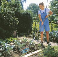Sterfrees met wiedmes 03195-20 14 cm Gardena combisystem - thumbnail