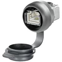 Weidmüller IE-FCM-RJ45-C-X-100 RJ-45-stekker 2742310000 Stekker Zwart 100 stuk(s) - thumbnail