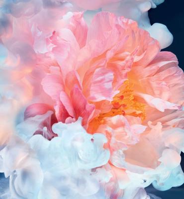 Dior JOY by Dior Eau de Parfum Intense