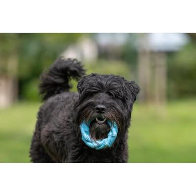 Jack and Vanilla Hondenspeelgoed - Rubber ring - Bacon - 14 cm