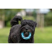 Jack and Vanilla Hondenspeelgoed - Rubber ring - Bacon - 14 cm - thumbnail