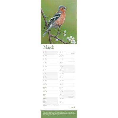 Robert Fuller British Wildlife Kalender 2026 Slimline Robert Fuller British Wildlife Kalender 2026 Slimline