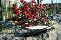 STYLE DE VIE - Laguiole - Zakmes Ebbenhout - thumbnail