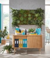 Brievenbak Leitz Cosy set van 3 A4 warm geel - thumbnail