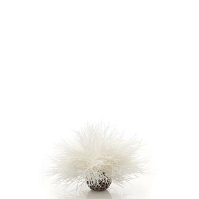 BiOrb zeelelie wit aquarium decoratie BiOrb zeelelie wit aquarium decoratie