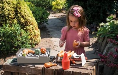 Dantoy grill set