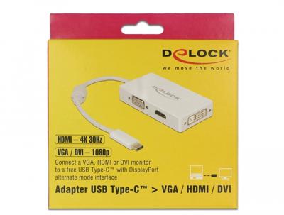 DeLOCK usb-c > vga / hdmi / dvi adapter (wit, 0,13 meter)