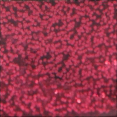 Creativ Company Glitterlijm donkerroze, 25ml