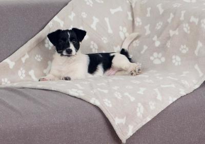 Huisdierendeken Trixie Kenny Beige Polyester 100 × 75 CM