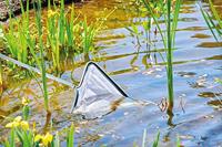 Oase 84318 Schepnet Maasbreedte: 2 mm (l x b x h) 38 x 39 x 19 cm - thumbnail