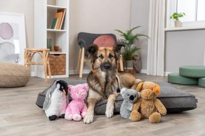Knuffel voor honden Trixie Enno Polyester Pluche Hond 40 cm - thumbnail