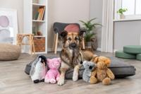 TRIXIE BE ECO KOALABEER ELLY PLUCHE GERECYCLED GRIJS 21 CM - thumbnail