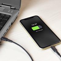 ACT USB-C naar Lightning kabel 1 meter zwart - thumbnail
