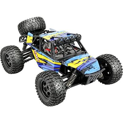 Reely RAW Oranje Brushed 1:14 RC auto Elektro Monstertruck 4WD RTR 2,4 GHz Incl. accu en lader