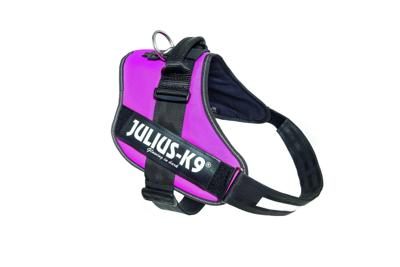 Julius-K9 IDC-Powertuig 82-115cm roze