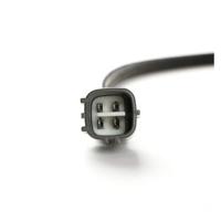 Kornoelje op stam - thumbnail