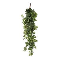 Mica Decorations Fittonia Kunst Hangplant in Pot - H80 cm - Groen - thumbnail
