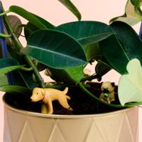 Bloempot honden (set van 4) - thumbnail
