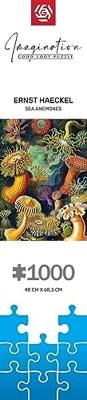 Verbeeldingspuzzel: Ernst Haeckel Zeeschepsels 1000 elementen